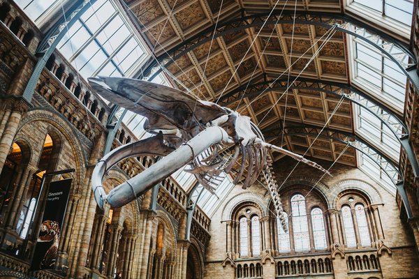 What strategies can UK museums adopt to increase visitor engagement through digital exhibits?