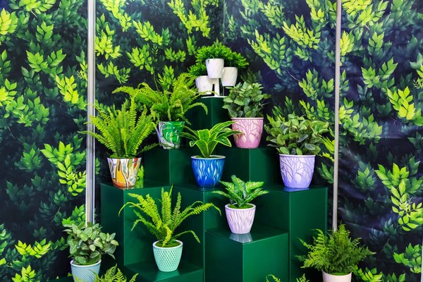 How can UK garden centers thrive in the competitive online plant delivery market?